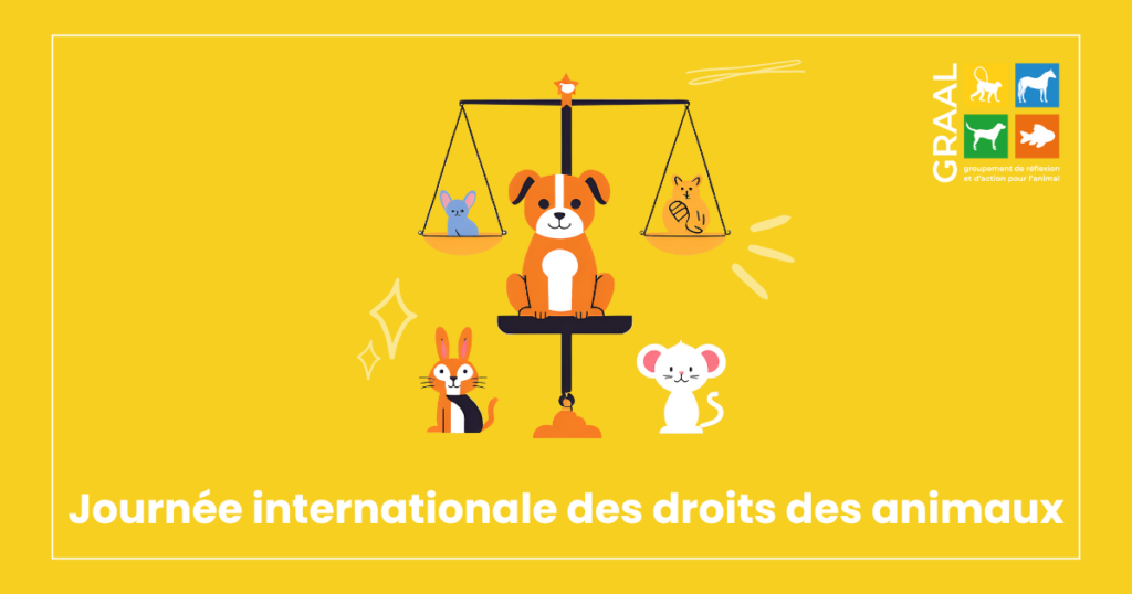 Journée internationale pour les droits des animaux