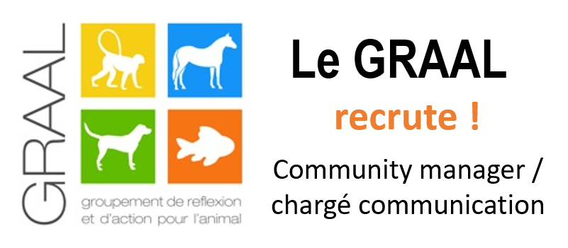 Le GRAAL recrute un chargé de communication-community manager