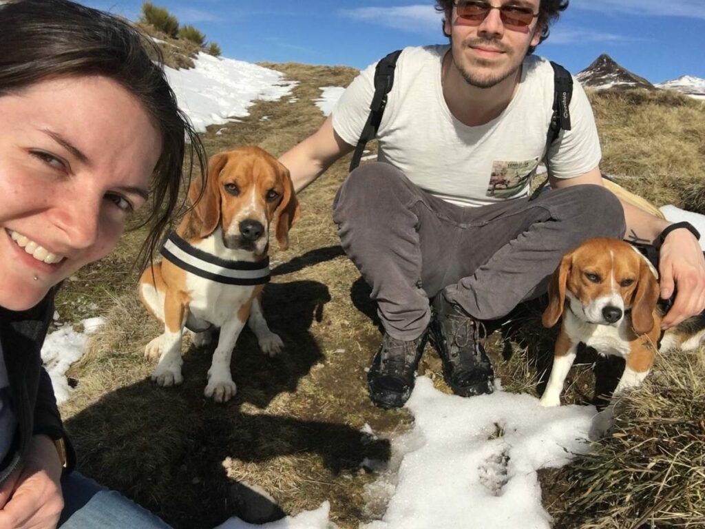 La vie après le labo – Jazz, beagle adopté en juillet 2016