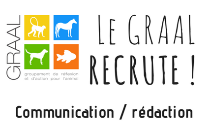 Le GRAAL recrute ! Chargé de communication