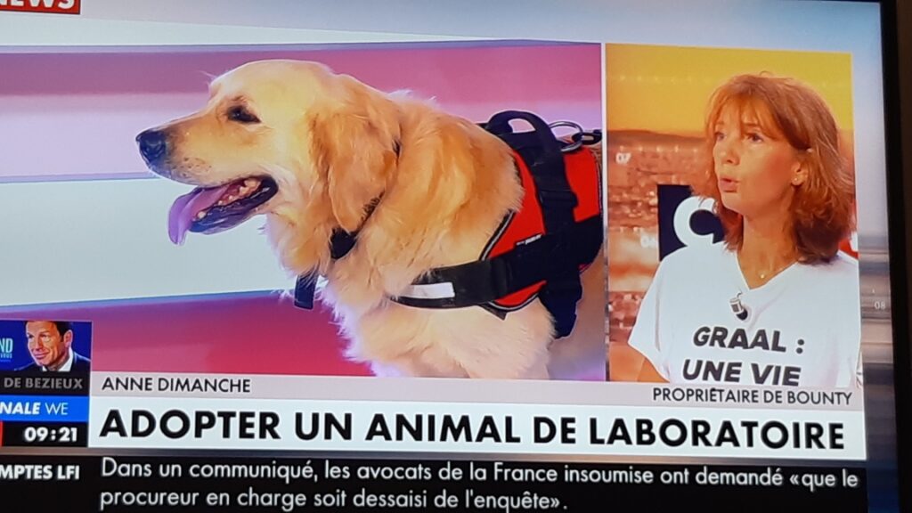 Le GRAAL sur le plateau de CNEWS le 21 octobre 2018