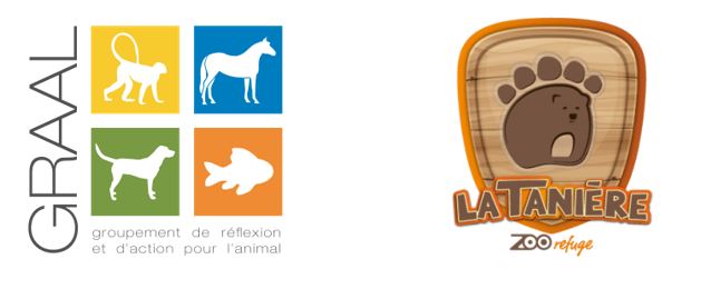 NEWSLETTER – Les primates de La Tanière 1/3 (juil. 19)