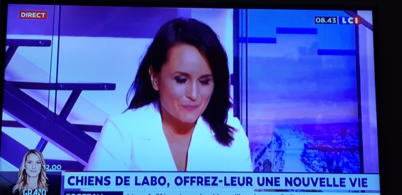 Le GRAAL sur LCI  Matinale week-end du 26 janvier 2020