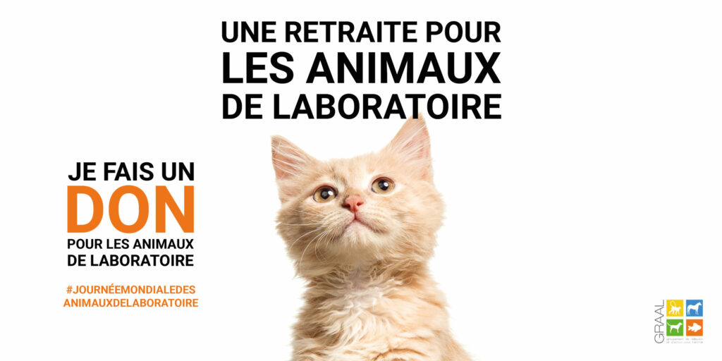 Journée Mondiale des Animaux de Laboratoire : mobilisez-vous !