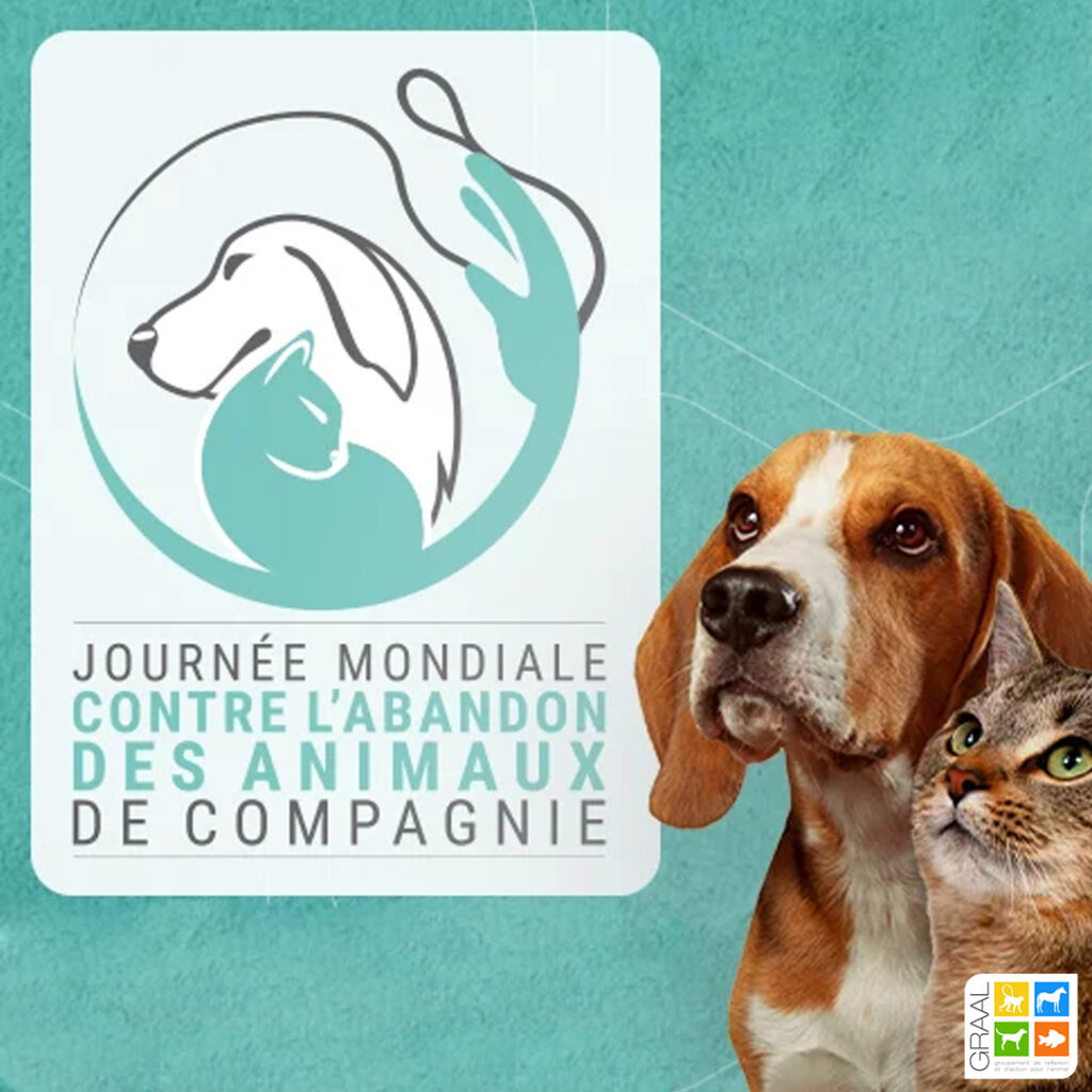 Journée mondiale contre l’abandon des animaux de compagnie