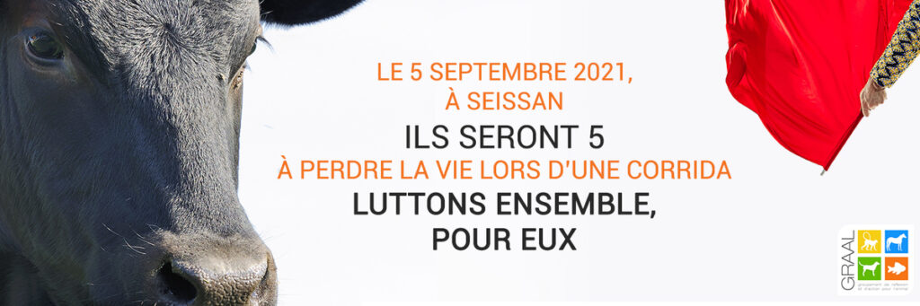 FAISONS ECHOUER LA CORRIDA DE SEISSAN ENSEMBLE