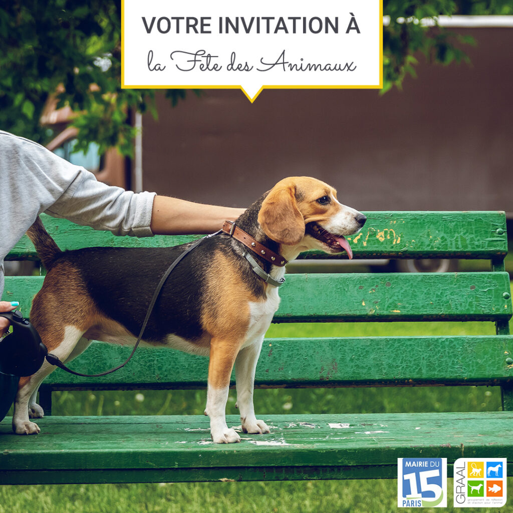 Fête de l’animal en ville