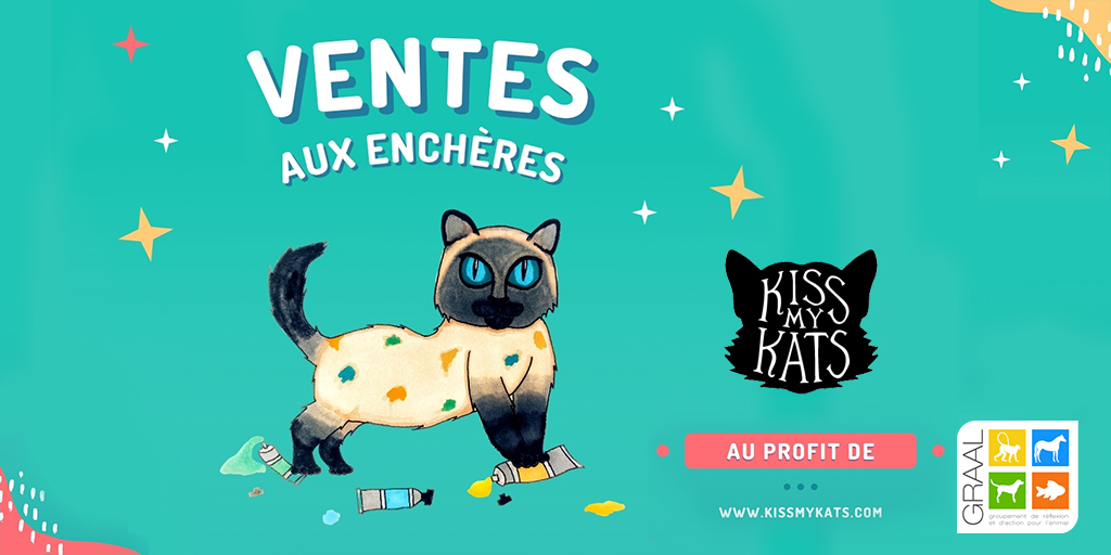 Enchères Kiss my Kats