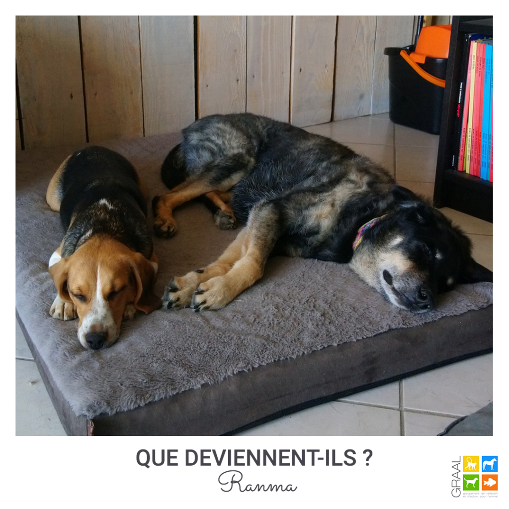 Que sont-ils devenus ?