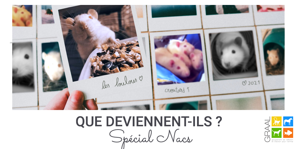 Que deviennent-ils ? Spécial NACS