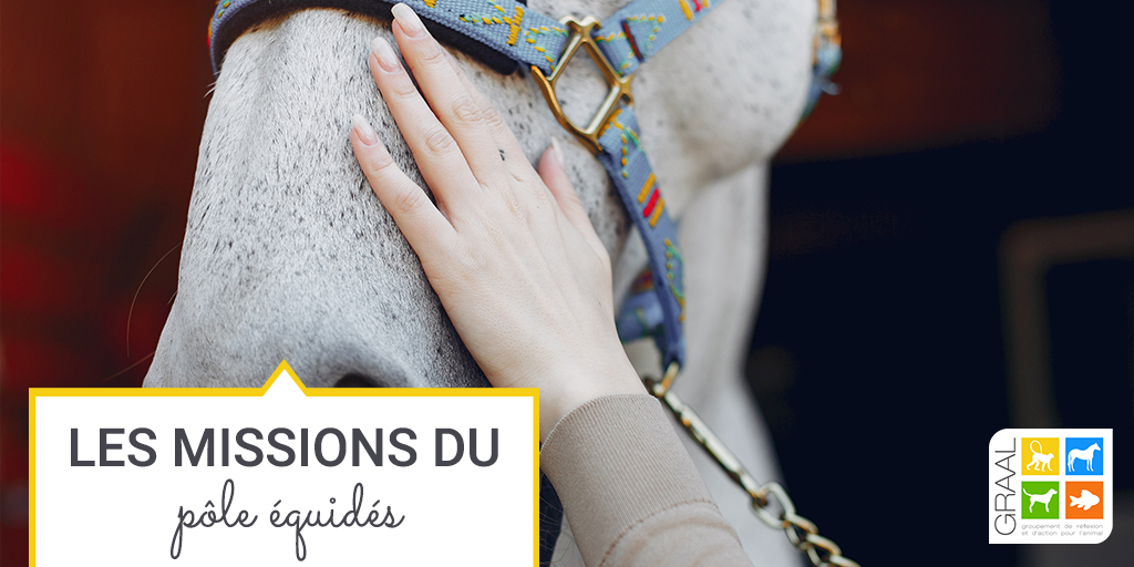 Les missions du pôle équidés