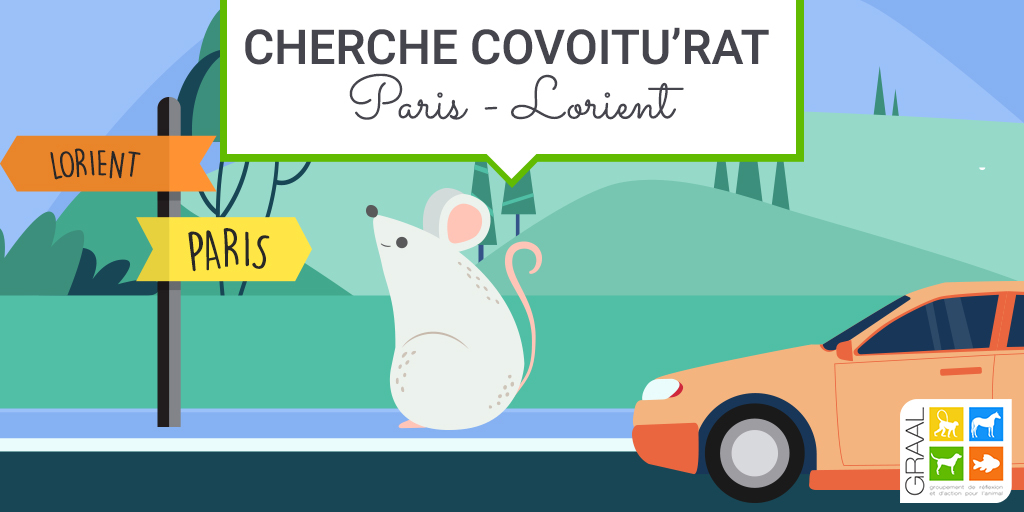 Covoitu’rat Paris-Lorient