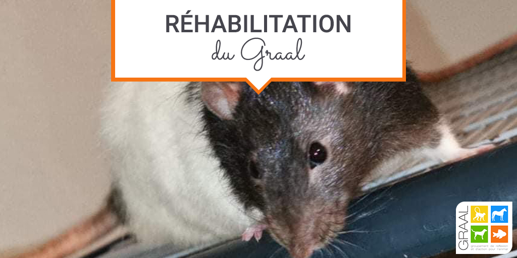 Réhabilitation