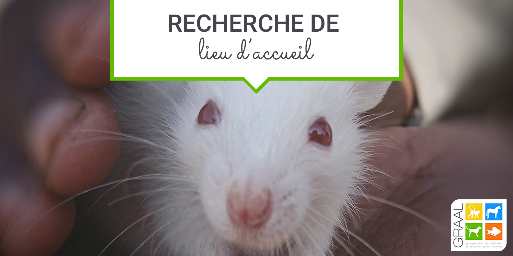 Urgent : recherche associations