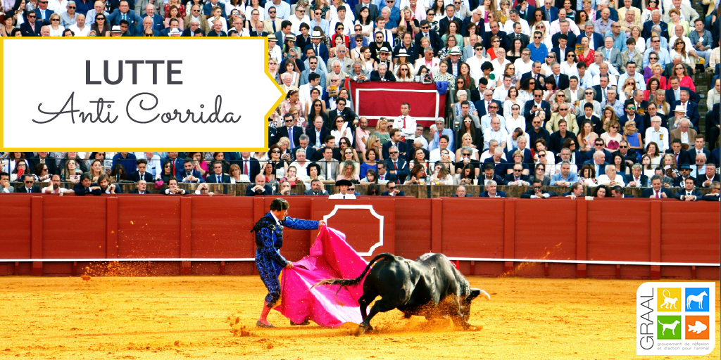 Lutte anti-corrida : agissons !