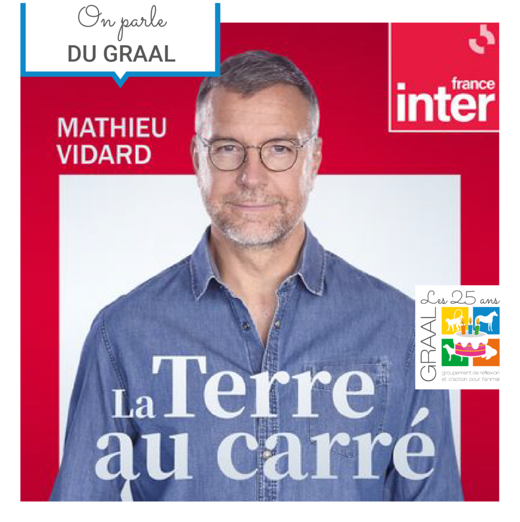 Le Graal sur France Inter