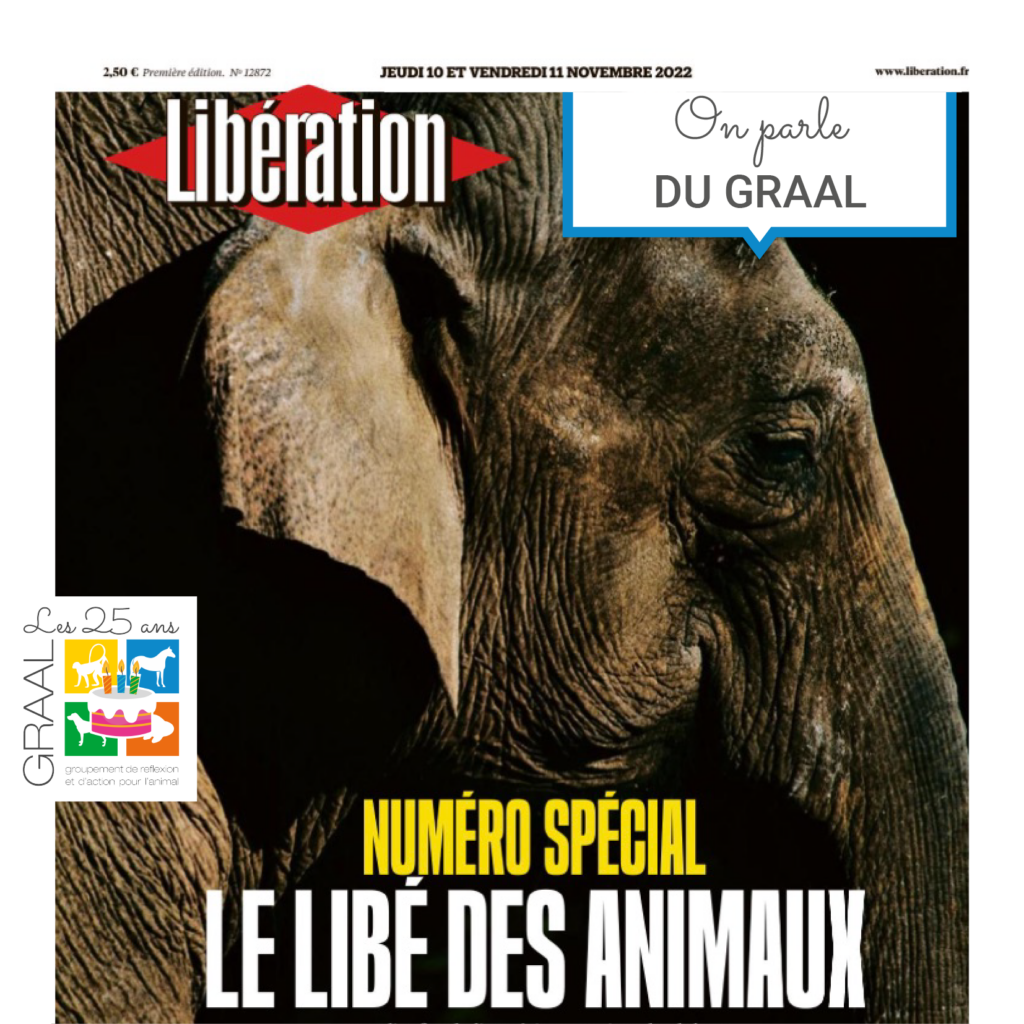 On parle du GRAAL dans Libé !