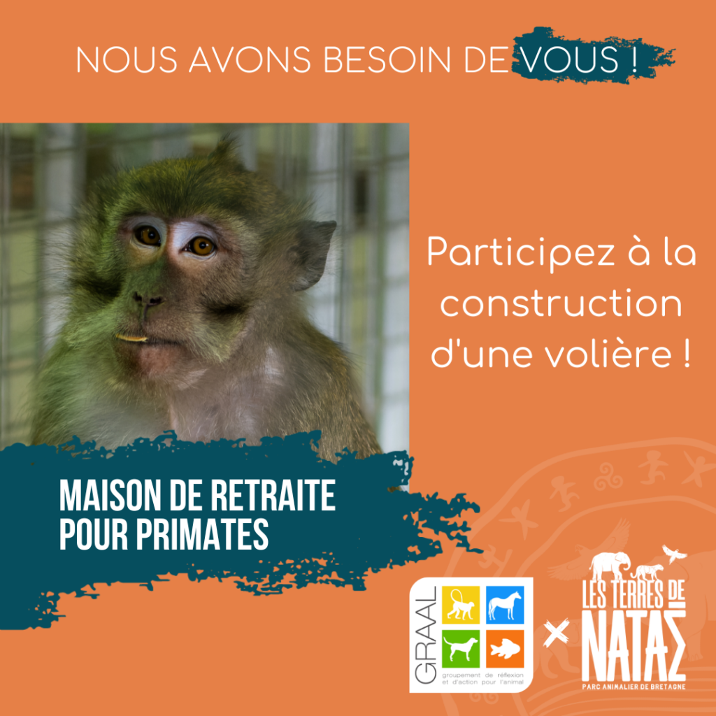 Aidez-nous à construire une maison de retraite pour primates