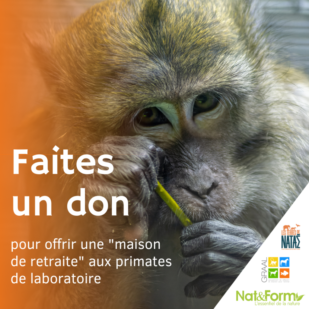 On a besoin de vos dons pour les primates