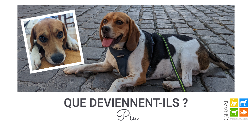 Quelques nouvelles de Pia