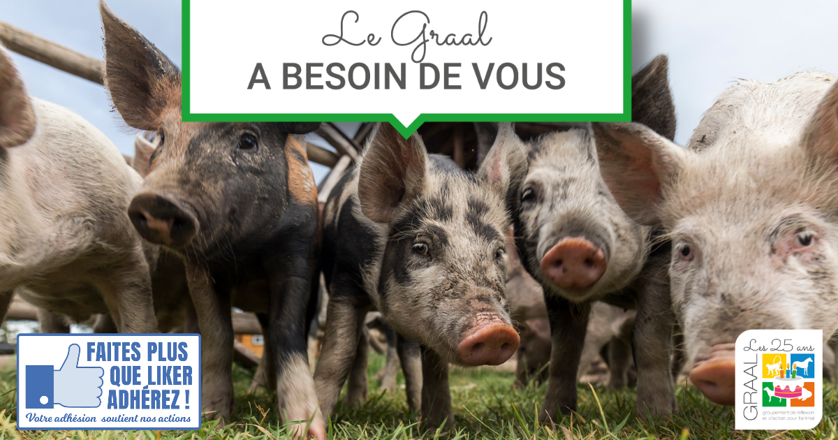 Le GRAAL a besoin de vous !