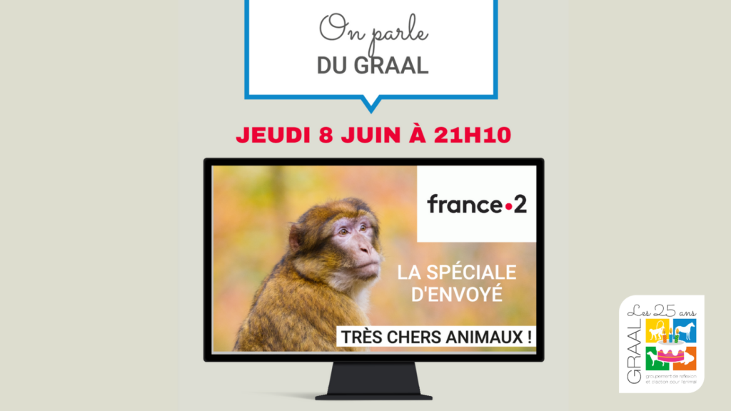 Envoyé Spécial sur les primates ce soir « Très chers animaux ! »