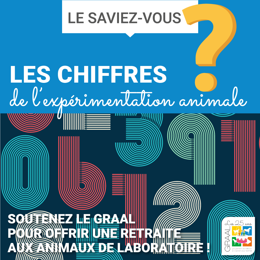 L’expérimentation animale en chiffres… Le saviez-vous ?