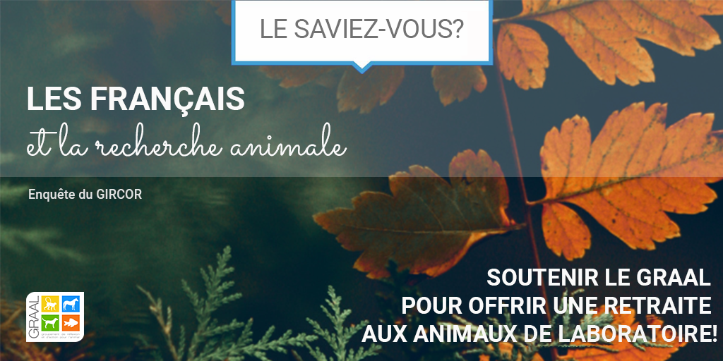 Les français et la recherche animale