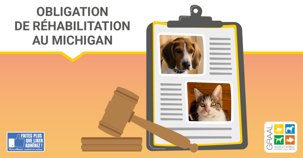 Obligation de réhabilitation au Michigan