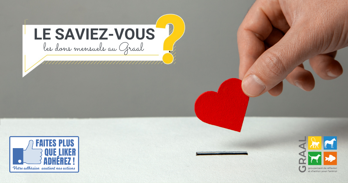 Don mensuel : comment faire ?