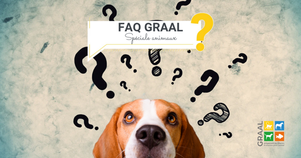 La F.A.Q. du GRAAL, spéciale animaux réhabilités