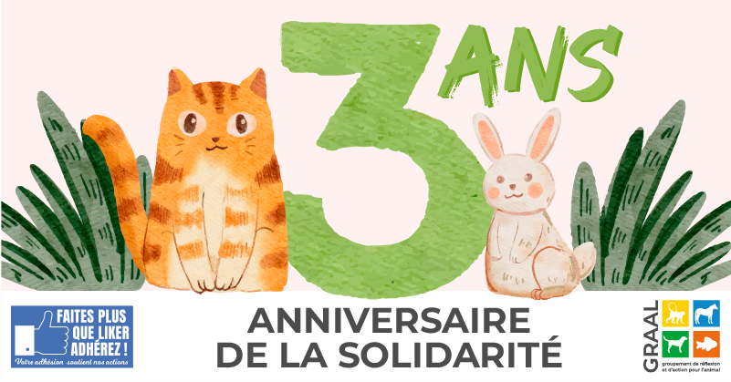 3 ans déjà