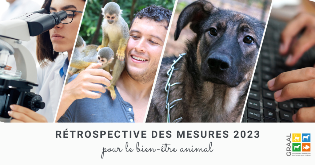 La rétrospective 2023 des mesures pour le bien-être animal en France