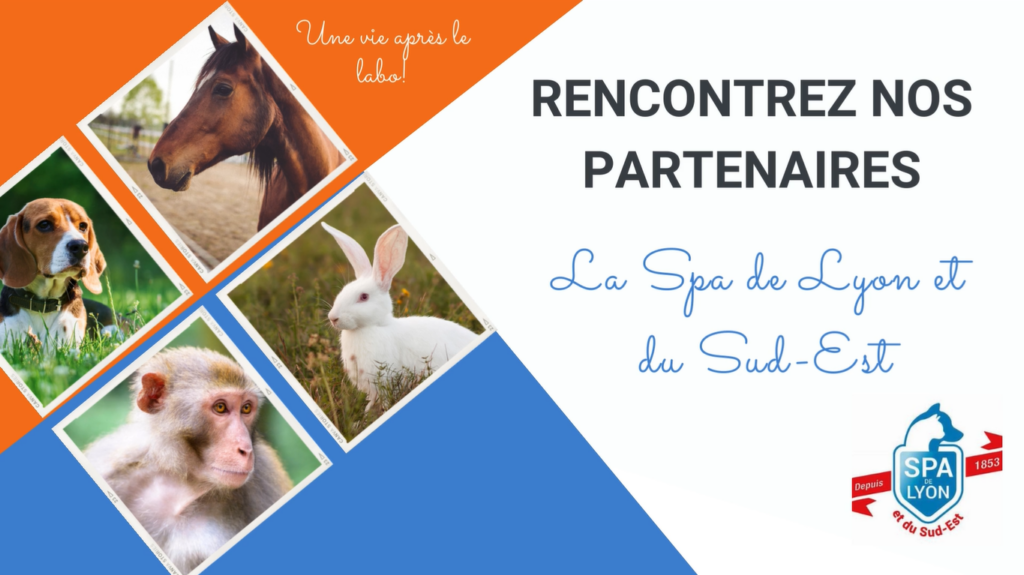 Interview partenaire : la SPA de Lyon