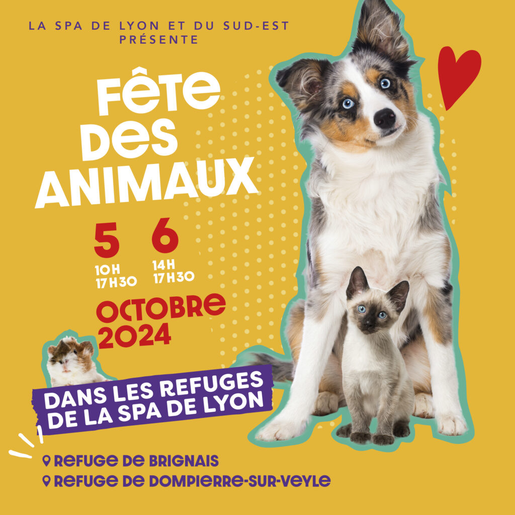 Fête des animaux à Brignais