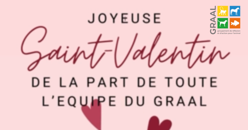 JOYEUSE SAINT-VALENTIN DU GRAAL