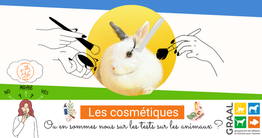 Les cosmétiques : ou en sommes nous sur les tests sur les animaux ?